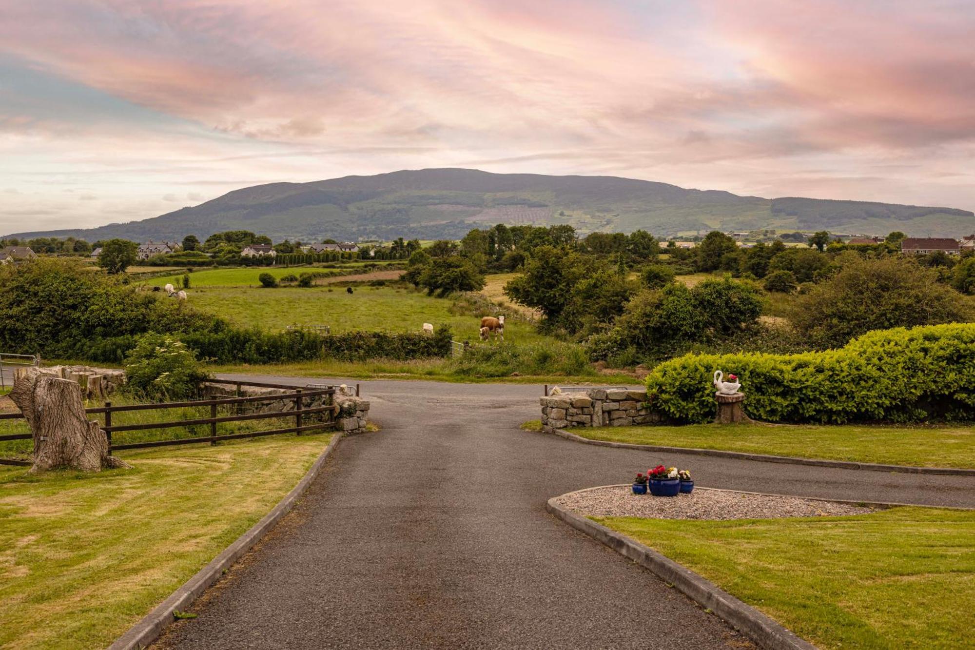 Ferienwohnung Mountain Nest At The Foot Of Slieve Gullion Cloghoge Exterior foto